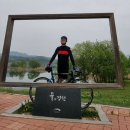 샛터 이미지