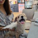 카페멍스 이미지