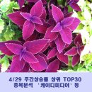 (주)케이디미디어 이미지