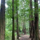 22.8.6청계산 산행(100대 명산) 이미지