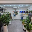 하얀세탁나라 이미지