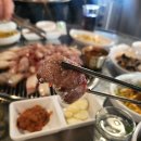 제주도로담 이미지