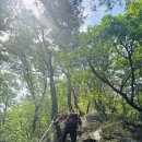 충청북도 영동 갈기산(585m) 동영상 이미지