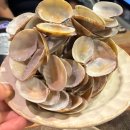 무봉리토종순대국앤삼계탕 | 내가 기억해야해서 남기는 맛집 리스트 / 서울&amp;원주&amp;청주 / 혼밥 맛집 (26년 6월)