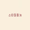 스타일좋개 이미지