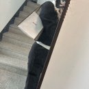 다이소 에코백 도시락 가방 필수템 다이소상봉홈플러스 2천원 구입 후기