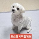 경남경찰청 제1기동대 | 탁구동호회 회장님의 멋진 아들 결혼식에 다녀온 후기