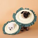 펫 하우스 이미지