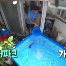 시장토종닭집