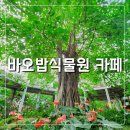 경기도 화성 봉담 카페 바오밥 식물원 베이커리 카페