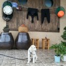 소섬바당 이미지