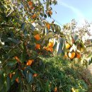 서동민박 이미지