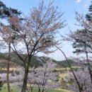 송백로-2 이미지