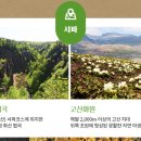 하늘쇼핑