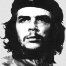 체게레바 이미지