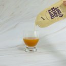 라이프프루티 | 프루트립 비건 프루티 진저샷 100ml 10개입 솔직 후기 아침 건강 루틴 추천