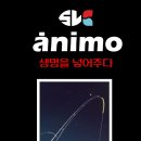 ánimo 한치로드 출시및 공동구매 일정 안내 이미지