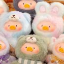 플레이인더박스 이미지