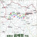 강선약국 이미지
