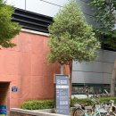 성수2가3동공영주차장 | 성수역 공영주차장 저렴한 성수2가3동 공영주차장 정보