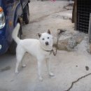 사돈농장 이미지