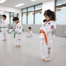 세종태권도장 이미지