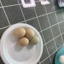 와현비치펜션 이미지