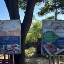 안성맞춤한우촌 이미지