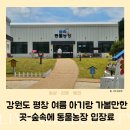 환기농장 | 강원도 평창 여름 아기랑 가볼만한 곳-숲속에 동물농장 입장료