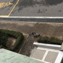 효성노인문화센터 앞 이미지