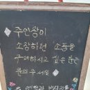 세종 조치원 맛집 김동주의 복어찬가 복샤브샤브