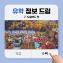 뉴질랜드 유학 준비 꿀팁, 시작이 어렵다면 이것부터!