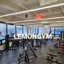 PT전문 레몬 이미지