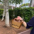 2023-0067 | MARNI ‘마르니’: 토트백&amp;여름용 라탄 가방 추천 상세 후기
