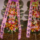 강진북초등학교 이미지