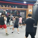 더파이팅 복싱짐 이미지