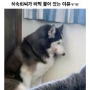 허숙희씨가 쫄아있는 이유.....ㅜㅠ 이미지