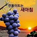 보령시니어클럽 이미지