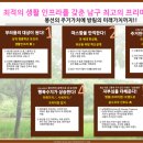 남양1천 이미지