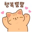 실버손모아