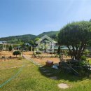 강화웰빙공인중개사사무소 이미지