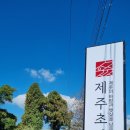안덕면 문화마을 내 이미지