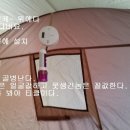 일산화탄소 중독내용 및 경보기 소개 합니다. 이미지