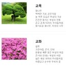 춘천교육대학교 부설초등학교 이미지