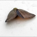 함양농장 이미지