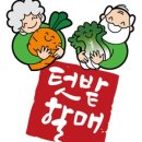 지산지공 이미지