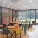 아마다코리아 이미지