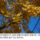 살아있는 한반도, 제17장 신생대 식물화석의 보고 포항 이미지