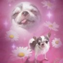 e-mart24 주안예찬점 | 다들숨은잘쉬고있는가