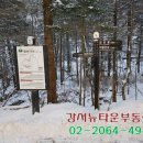 대  산 이미지